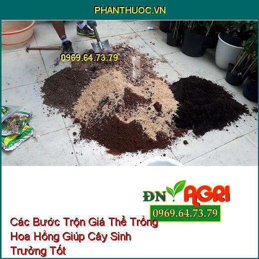 Các Bước Trộn Giá Thể Trồng Hoa Hồng Giúp Cây Sinh Trưởng Tốt