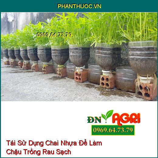 Tái Sử Dụng Chai Nhựa Để Làm Chậu Trồng Rau Sạch