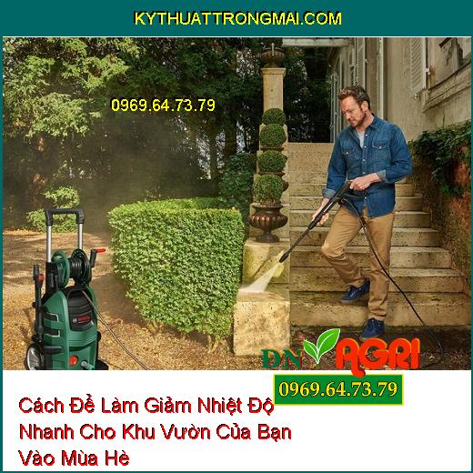 Cách Để Làm Giảm Nhiệt Độ Nhanh Cho Khu Vườn Của Bạn Vào Mùa Hè