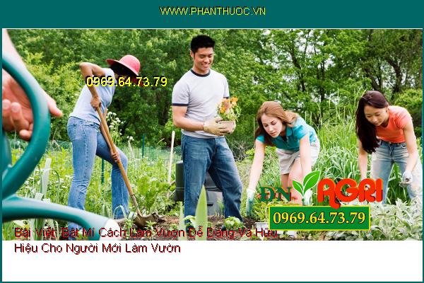 Bật Mí Cách Làm Vườn Dễ Dàng Và Hữu Hiệu Cho Người Mới Làm Vườn