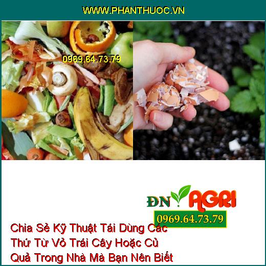 Chia Sẻ Kỹ Thuật Tái Dùng Các Thứ Từ Vỏ Trái Cây Hoặc Củ Quả Trong Nhà Mà Bạn Nên Biết