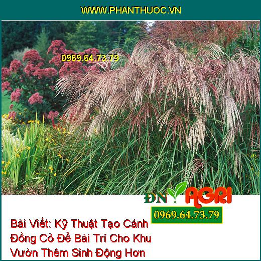 Kỹ Thuật Tạo Cánh Đồng Cỏ Để Bài Trí Cho Khu Vườn Thêm Sinh Động Hơn