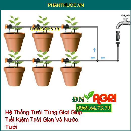 Hệ Thống Tưới Từng Giọt Giúp Tiết Kiệm Thời Gian Và Nước Tưới