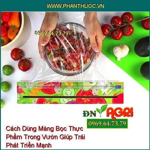 Cách Dùng Màng Bọc Thực Phẩm Trong Vườn Giúp Trái Phát Triển Mạnh 