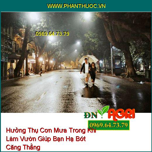 Hưởng Thụ Cơn Mưa Trong Khi Làm Vườn Giúp Bạn Hạ Bớt Căng Thẳng