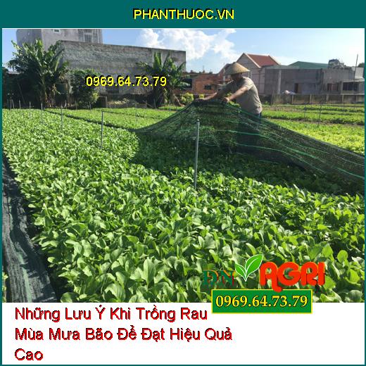 Những Lưu Ý Khi Trồng Rau Mùa Mưa Bão Để Đạt Hiệu Quả Cao