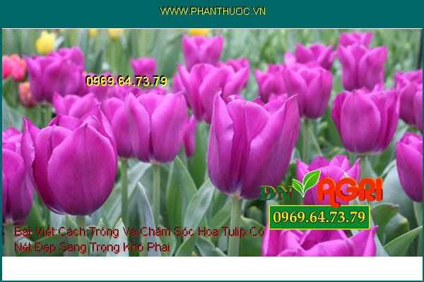 WWW.PhanThuoc.VN