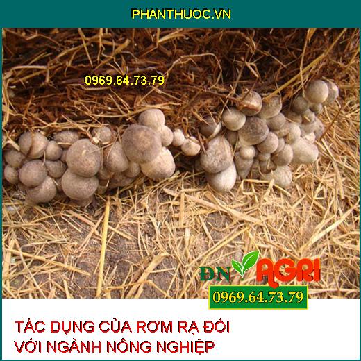 TÁC DỤNG CỦA RƠM RẠ ĐỐI VỚI NGÀNH NÔNG NGHIỆP