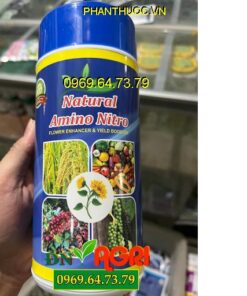 NATURAL AMINO NITRO- Ra Hoa Nhiều- Giảm Rụng Hoa, Trái- Kích Nảy Mầm
