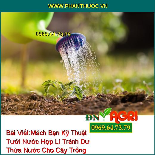 Mách Bạn Kỹ Thuật Tưới Nước Hợp Lí Tránh Dư Thừa Nước Cho Cây Trồng