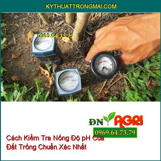 Cách Kiểm Tra Nồng Độ pH Của Đất Trồng Chuẩn Xác Nhất