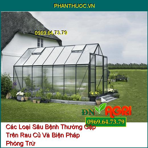 Các Loại Sâu Bệnh Thường Gặp Trên Rau Củ Và Biện Pháp Phòng Trừ