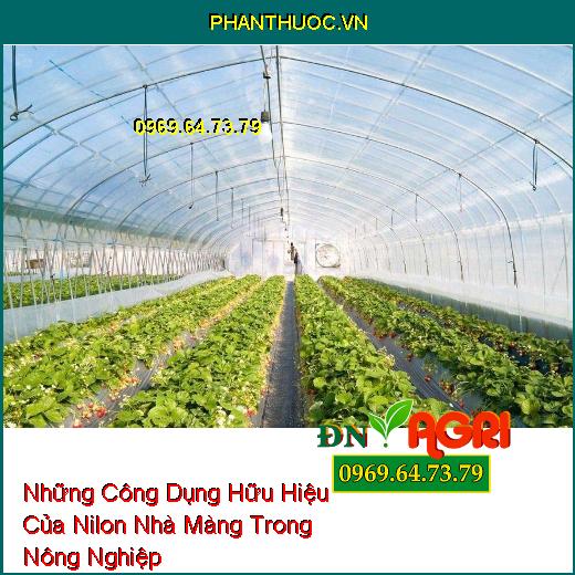 Những Công Dụng Hữu Hiệu Của Nilon Nhà Màng Trong Nông Nghiệp