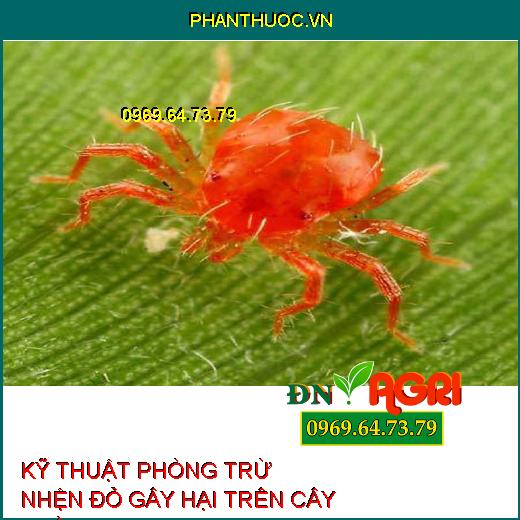 KỸ THUẬT PHÒNG TRỪ NHỆN ĐỎ GÂY HẠI TRÊN CÂY TRỒNG