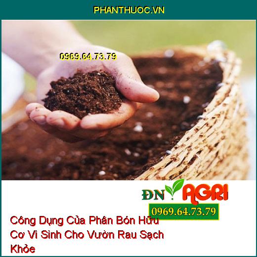 Công Dụng Của Phân Bón Hữu Cơ Vi Sinh Cho Vườn Rau Sạch Khỏe