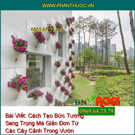 Cách Tạo Bức Tường Sang Trọng Mà Giản Đơn Từ Các Cây Cảnh Trong Vườn