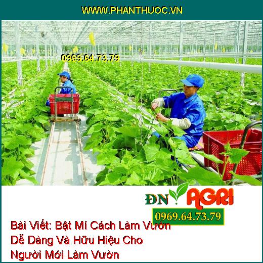 Bật Mí Cách Làm Vườn Dễ Dàng Và Hữu Hiệu Cho Người Mới Làm Vườn