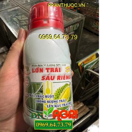 NPV 13 Lớn Trái Sầu Riêng- Lớn Trái- Chắc Ruột- Chống Sượng Trái- Lên Màu Trái Đẹp