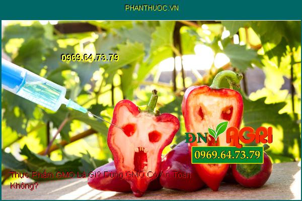 Thực Phẩm GMO Là Gì? Dùng GMO Có An Toàn Không?