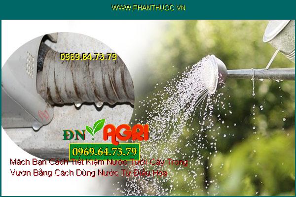 Mách Bạn Cách Tiết Kiệm Nước Tưới Cây Trong Vườn Bằng Cách Dùng Nước Từ Điều Hòa