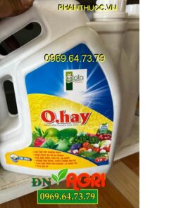 O.HAY- Cải Tạo Đất- Kích Rễ Mạnh- Phòng Trừ Bệnh- Phục Hồi Cây- Lá Xanh- Tăng pH