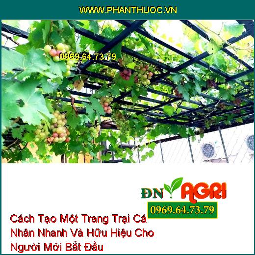 Cách Tạo Một Trang Trại Cá Nhân Nhanh Và Hữu Hiệu Cho Người Mới Bắt Đầu