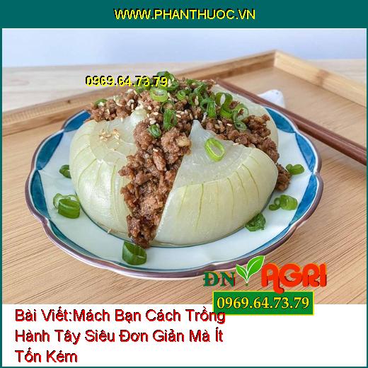 Mách Bạn Cách Trồng Hành Tây Siêu Đơn Giản Mà Ít Tốn Kém