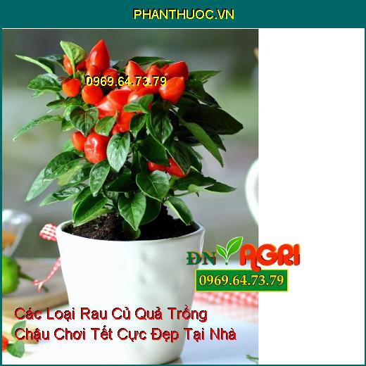 Các Loại Rau Củ Quả Trồng Chậu Chơi Tết Cực Đẹp Tại Nhà