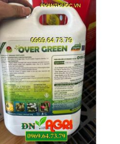 OVER GREEN- Kích Ra Rễ- Trái Lớn Đều- Cây Xanh Bền- Đất Tơi Xốp- Phục Hồi Cây