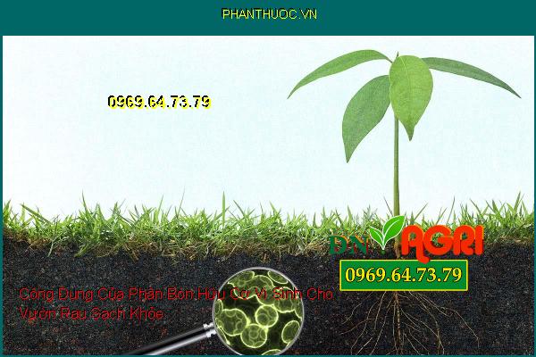 Công Dụng Của Phân Bón Hữu Cơ Vi Sinh Cho Vườn Rau Sạch Khỏe