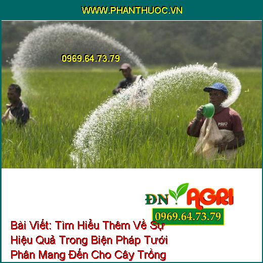 Tìm Hiểu Thêm Về Sự Hiệu Quả Trong Biện Pháp Tưới Phân Mang Đến Cho Cây Trồng