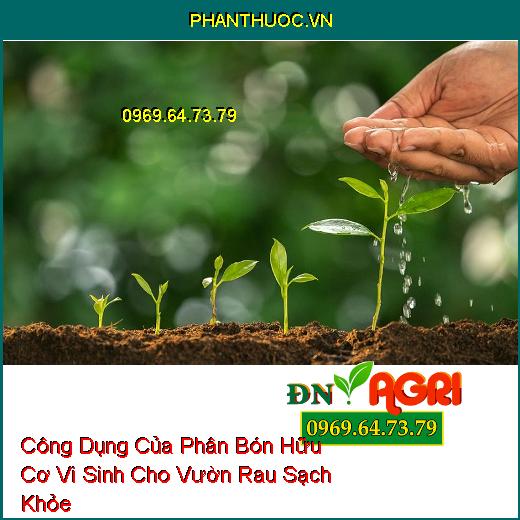 Công Dụng Của Phân Bón Hữu Cơ Vi Sinh Cho Vườn Rau Sạch Khỏe