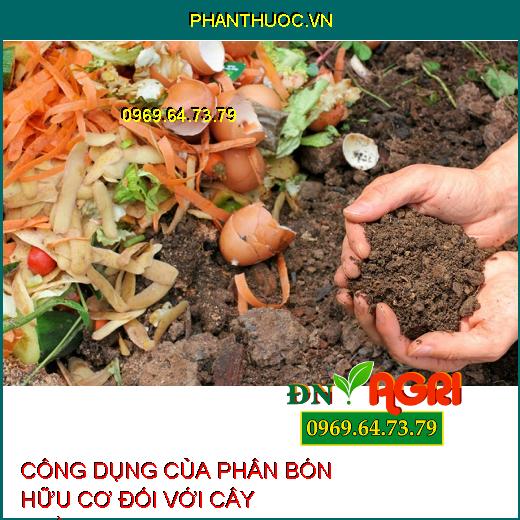 CÔNG DỤNG CỦA PHÂN BÓN HỮU CƠ ĐỐI VỚI CÂY TRỒNG