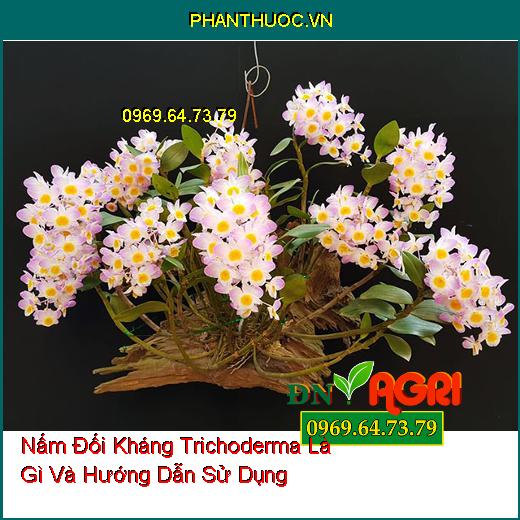 Nấm Đối Kháng Trichoderma Là Gì Và Hướng Dẫn Sử Dụng 