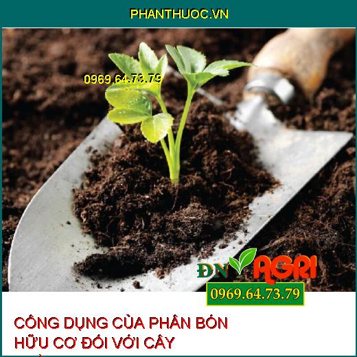 CÔNG DỤNG CỦA PHÂN BÓN HỮU CƠ ĐỐI VỚI CÂY TRỒNG