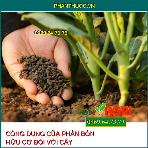 CÔNG DỤNG CỦA PHÂN BÓN HỮU CƠ ĐỐI VỚI CÂY TRỒNG