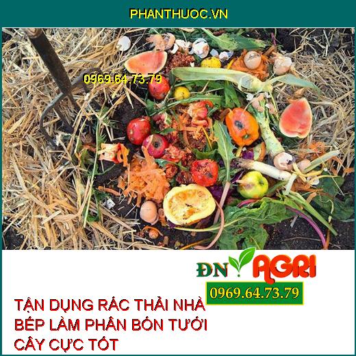 TẬN DỤNG RÁC THẢI NHÀ BẾP LÀM PHÂN BÓN TƯỚI CÂY CỰC TỐT