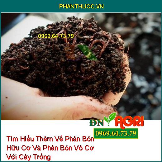 Tìm Hiểu Thêm Về Phân Bón Hữu Cơ Và Phân Bón Vô Cơ Với Cây Trồng