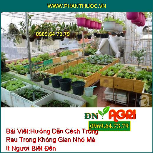 Hướng Dẫn Cách Trồng Rau Trong Không Gian Nhỏ Mà Ít Người Biết Đến