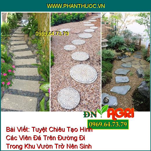 Tuyệt Chiêu Tạo Hình Các Viên Đá Trên Đường Đi Trong Khu Vườn Trở Nên Sinh Động Hơn