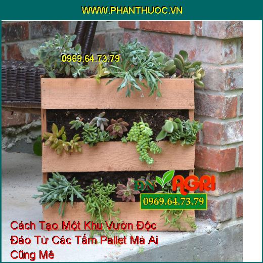 Cách Tạo Một Khu Vườn Độc Đáo Từ Các Tấm Pallet Mà Ai Cũng Mê