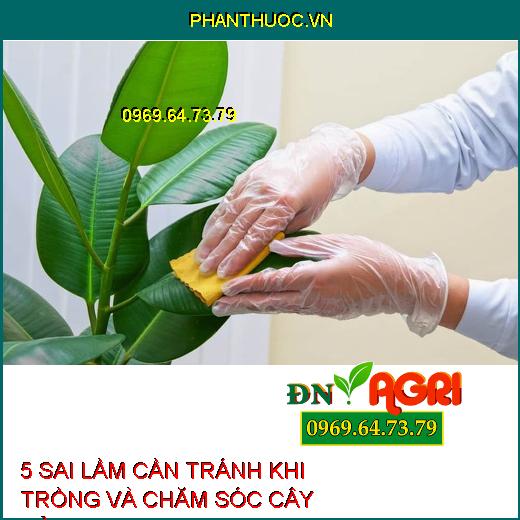 5 SAI LẦM CẦN TRÁNH KHI TRỒNG VÀ CHĂM SÓC CÂY CẢNH