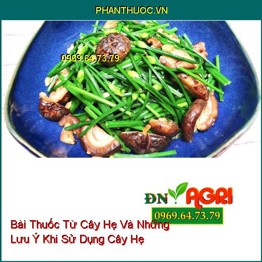 Bài Thuốc Từ Cây Hẹ Và Những Lưu Ý Khi Sử Dụng Cây Hẹ