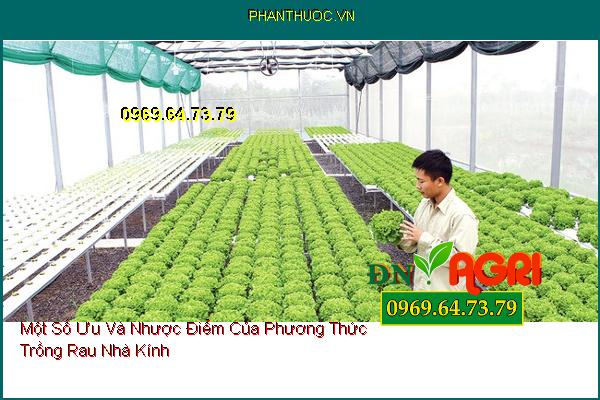 Một Số Ưu Và Nhược Điểm Của Phương Thức Trồng Rau Nhà Kính