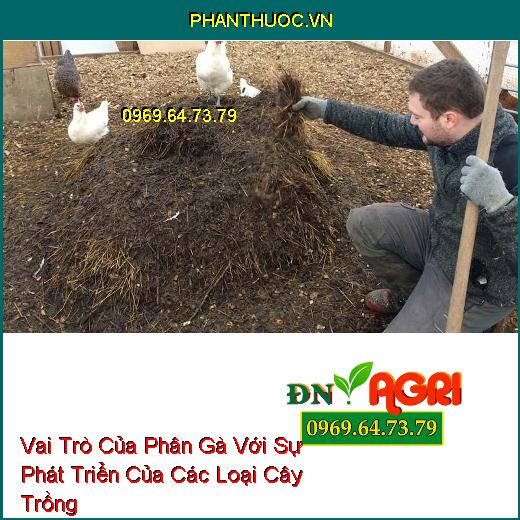 Vai Trò Của Phân Gà Với Sự Phát Triển Của Các Loại Cây Trồng