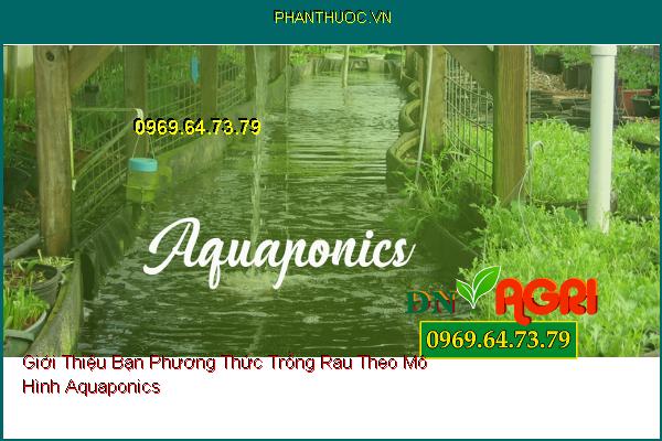 Giới Thiệu Bạn Phương Thức Trồng Rau Theo Mô Hình Aquaponics