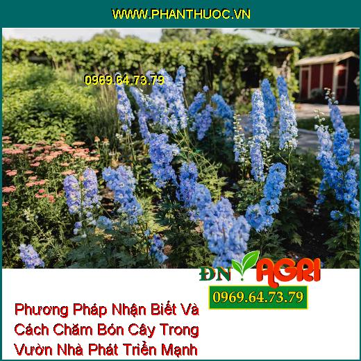 Phương Pháp Nhận Biết Và Cách Chăm Bón Cây Trong Vườn Nhà Phát Triển Mạnh