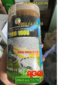 PUM 1000- Trái To- Bóng Da- Tăng Độ Ngọt- Nặng Ký- Phục Hồi Cây Suy- Ra Rễ