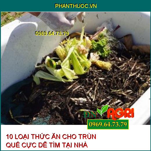 10 LOẠI THỨC ĂN CHO TRÙN QUẾ CỰC DỄ TÌM TẠI NHÀ