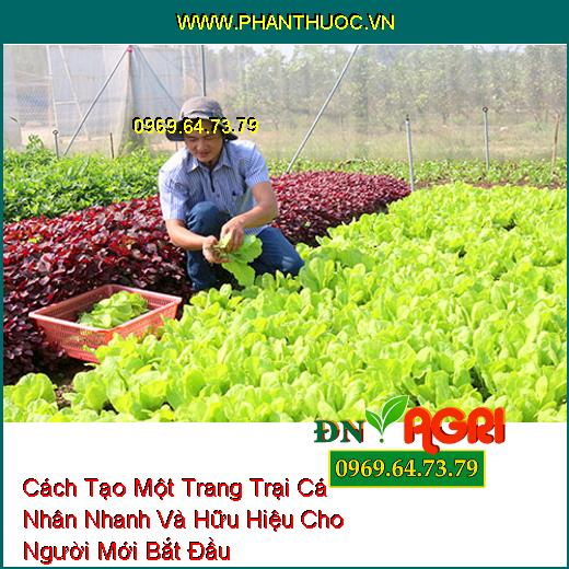 Cách Tạo Một Trang Trại Cá Nhân Nhanh Và Hữu Hiệu Cho Người Mới Bắt Đầu